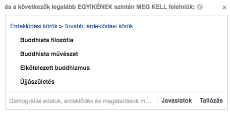 Facebook hirdetési célzás 2