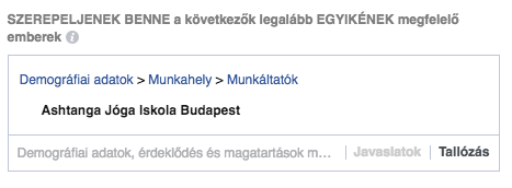 Felhasználó alapú célzás